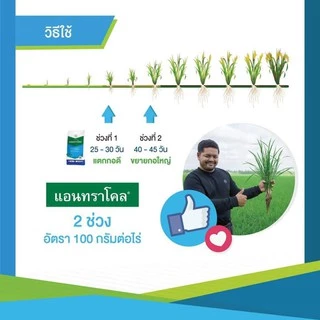 แอนทราโคล( Antracol ) สารโพรพิเนบ สารป้องกันและกำจัดโรคพืช ( 1 กิโลกรัม )