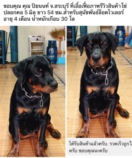 ปลอกคอโซ่ สุนัข สแตนเลส 304 โดนน้ำได้ไม่ขึ้นสนิม💦 ไม่มีขาด‼️ขนาด 5-10 มิล สำหรับสุนัขขนาดกลาง-สุนัขโต ปลอกคอโซ่ โซ่คอ