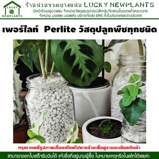 เพอร์ไลท์  Perlite ราคา ลิตรละ 50 บาท วัสดุปลูกผักไฮโดรโปนิกส์ ปลูกต้นไม้