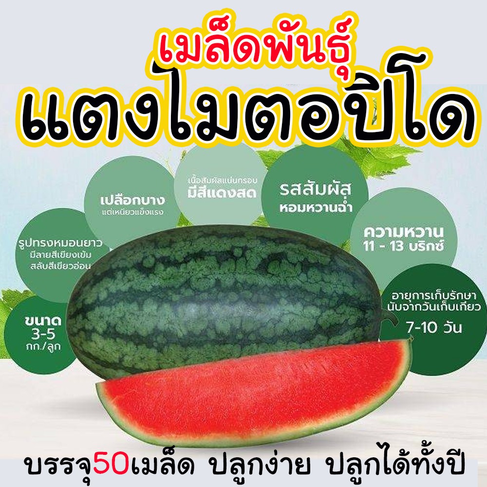 เมล็ดพันธุ์แตงโม นิวตอปิโด เนื้อสีแดงจัด เก็บเกี่ยวเร็ว ความหวานสูง จำนวน 50 เมล็ด แตงโมตอปิโด