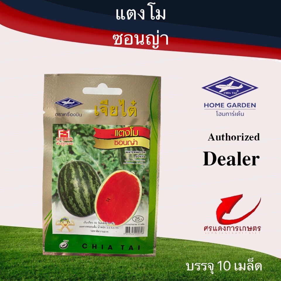 เมล็ดพันธุ์ ผักซองเจียไต๋แตงโมซอนญ่า พลัส