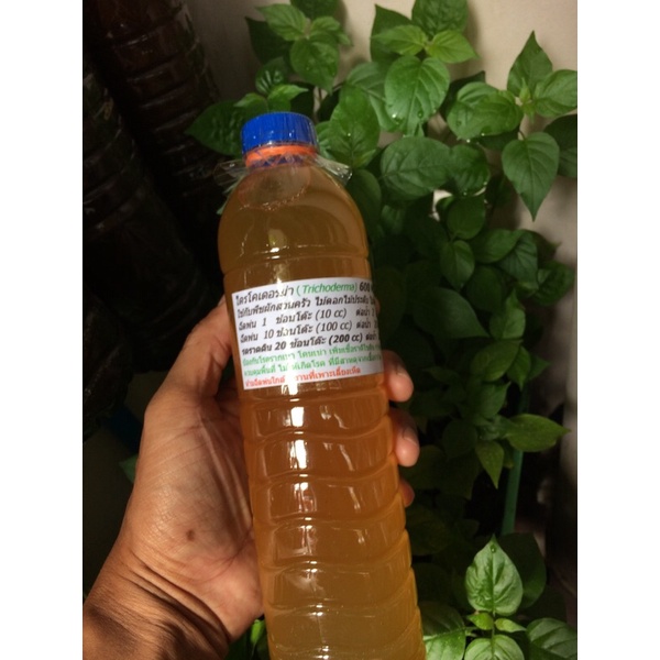 ไตรโคเดอร์ม่า ชนิดน้ำ 600 ml ราคาถูก