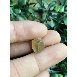 (B) พลอยดิบแท้ เยลโล่ อพาไทร์(Yellow Apatite)พลอยธรรมชาติ 100% น้ำหนัก 7.50 กะรัต / ซื้อ 10 ฟรี 1 ทันที !!