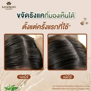 Khaokho Talaypu เขาค้อทะเลภู แชมพู สูตร Cooling & Balancing ขจัดรังแค เย็นสดชื่น (240 มล.)
