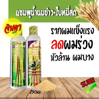 แชมพูจินดา น้ำนมข้าว จินดา 250มล ใบหมี่สด Jinda Shampoo