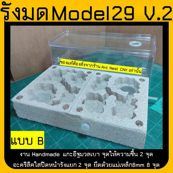 รังมด Model 29 V.2 (Ant nest) แยกแผ่นปิดหน้ารัง แนวนอน อิฐมวลเบา ไซส์ใหญ่