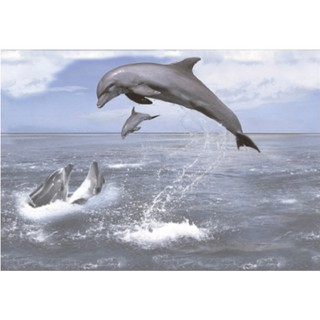 กระเบื้องผนังภาพชุด MORIS DOLPHIN 60X90*A (30X45CM/4 แผ่น/ชุด)