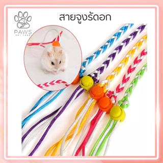 Pawspetcare🐾สายจูงรัดอก สายจูงเปีย สายรัดอก สายจูง สัตว์เล็ก หนูแฮมสเตอร์ ชูการ์ไกรเดอร์ กระรอก ลิงมาโมเสท