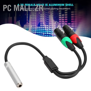 Pc Mall.Zr สายเคเบิลเชื่อมต่อเสียง ทองแดงบริสุทธิ์ 6.35 ตัวเมีย เป็น Xlr คู่ 24AWG 0.3 ม.