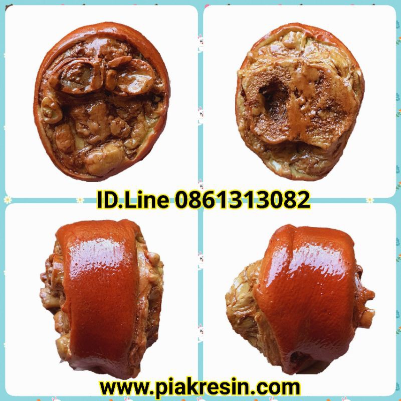 โมเดล ข้อคากิ ปลอม เรซิ่น ชิ่นละ 110 บาท กว้าง 7.5 ยาว 6.0 หนา 5.0 CM ขาหมูปลอม ขาหมูเรซิ่น คากิปลอม คากิเรซิ่น