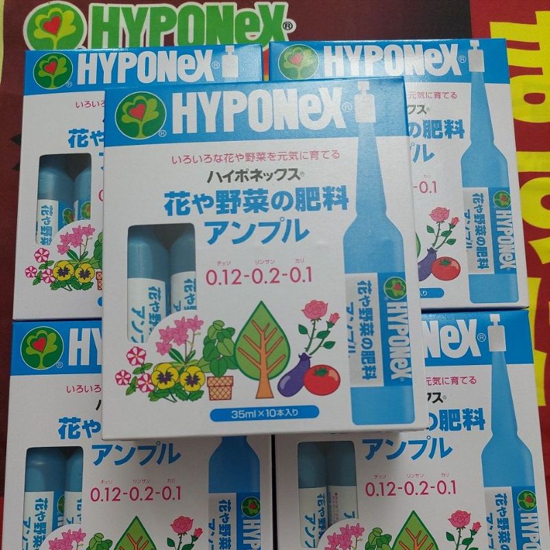 Ampoul series hyponex สีฟ้าไม้ดอกและพืชผักตัวแทนจำหน่ายอย่างเป็นทางการ