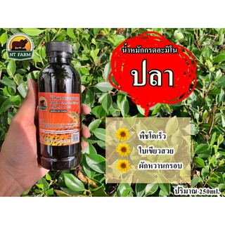 น้ำหมักปลา+นม จุลินทรีย์ชีวภาพ น้ำหมักกรดอะมิโน (250 ml.)