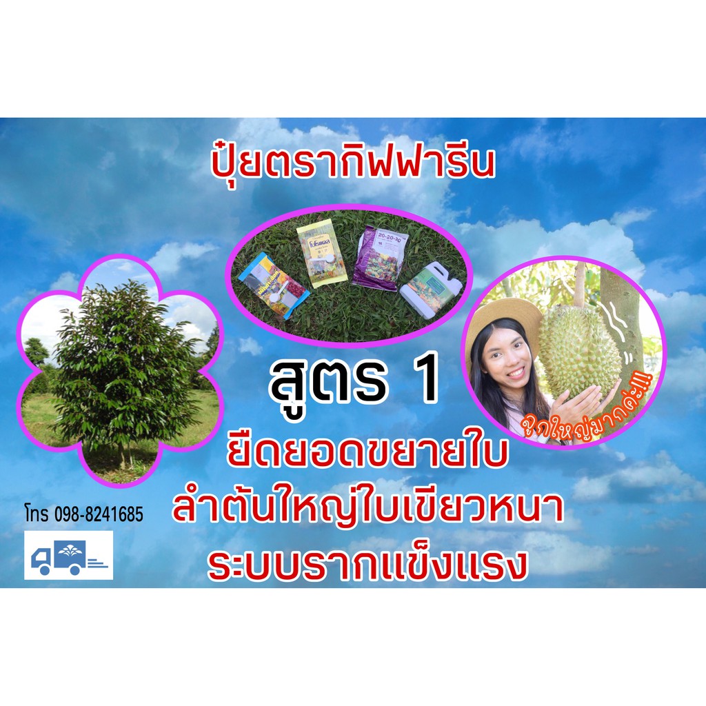 My Image 27