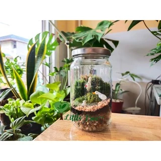 สวนขวด DIY ชุดจัดสวน ไซต์ S เบสิค ราคา 189 บาท มีสินค้าพร้อมส่ง