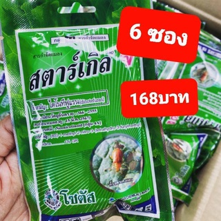 🍀สตาร์เกิลจี (Starkle G) 100 กรัม 🍀  6 ซอง เพียง 168🍀  บาทสารกำจัดแมลง🍀  เพลี้ยแป้ง เพลี้ยหอย เพลี้ยไฟ เพลี้ยอ่อน