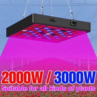 ไฟ LED 2000W โคมไฟควอนตัม LED 3000W เต็มสเปกตรัม เพาะปลูก กล่องเต็นท์ เพาะเมล็ด เพาะปลูก 100-277V