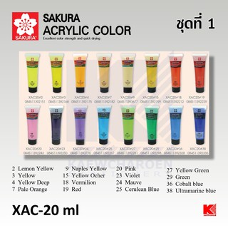 สีอคิลิค (Acrylic) ชุดที่ 1 SAKURA XAC 20 ml.