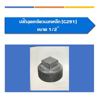 ปลั๊กอุดเกลียวนอก เหล็ก ขนาด 1/2",3/4",1",1 1/4",1 1/2",2"(สินค้ามีหลายขนาดหาไม่เจอสามารถสอบถามเพิ่มเติมได้คะ)