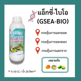 ฮอร์โมนบำรุงพิช แอ็กซี่ไบโอ ขนาด 500 ml / 1 L