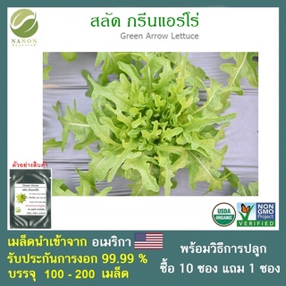 เมล็ดสลัด กรีนแอร์โร่ จำนวน 100-200 เมล็ด