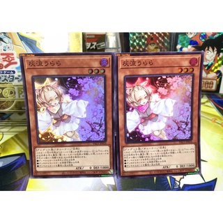 yugioh OCG Japanese Edition x2 Super Rare[SR] Ash Blossom &amp; Joyous Spring Playset