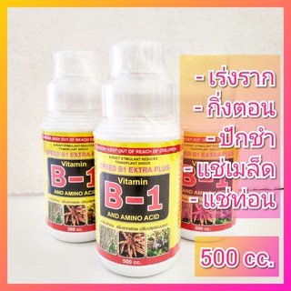 B1 + Amino เร่งราก 500 ซีซี Speed B1 Extra Plus บำรุงราก + อะมิโน น้ำยาเร่งราก ยาเร่งราก บำรุงราก