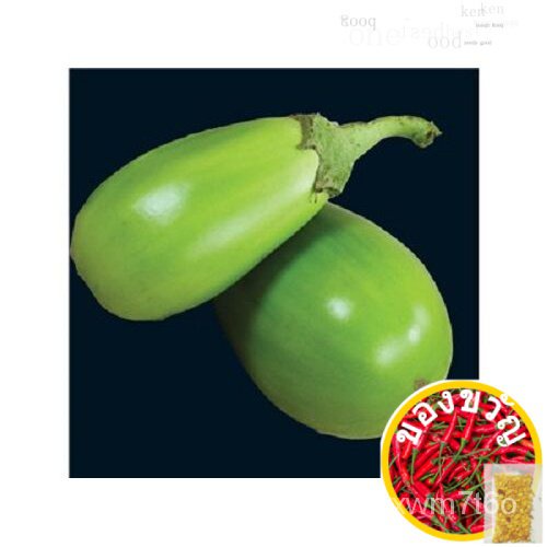 20pcs APPLEGREEN EGGPLANT Green Fruit / Vegetable Solanum Melongena Seeds木瓜/芹菜/种子/园艺/上衣/鲜花/通心菜/母婴/向日葵/香菜/ 2NMA