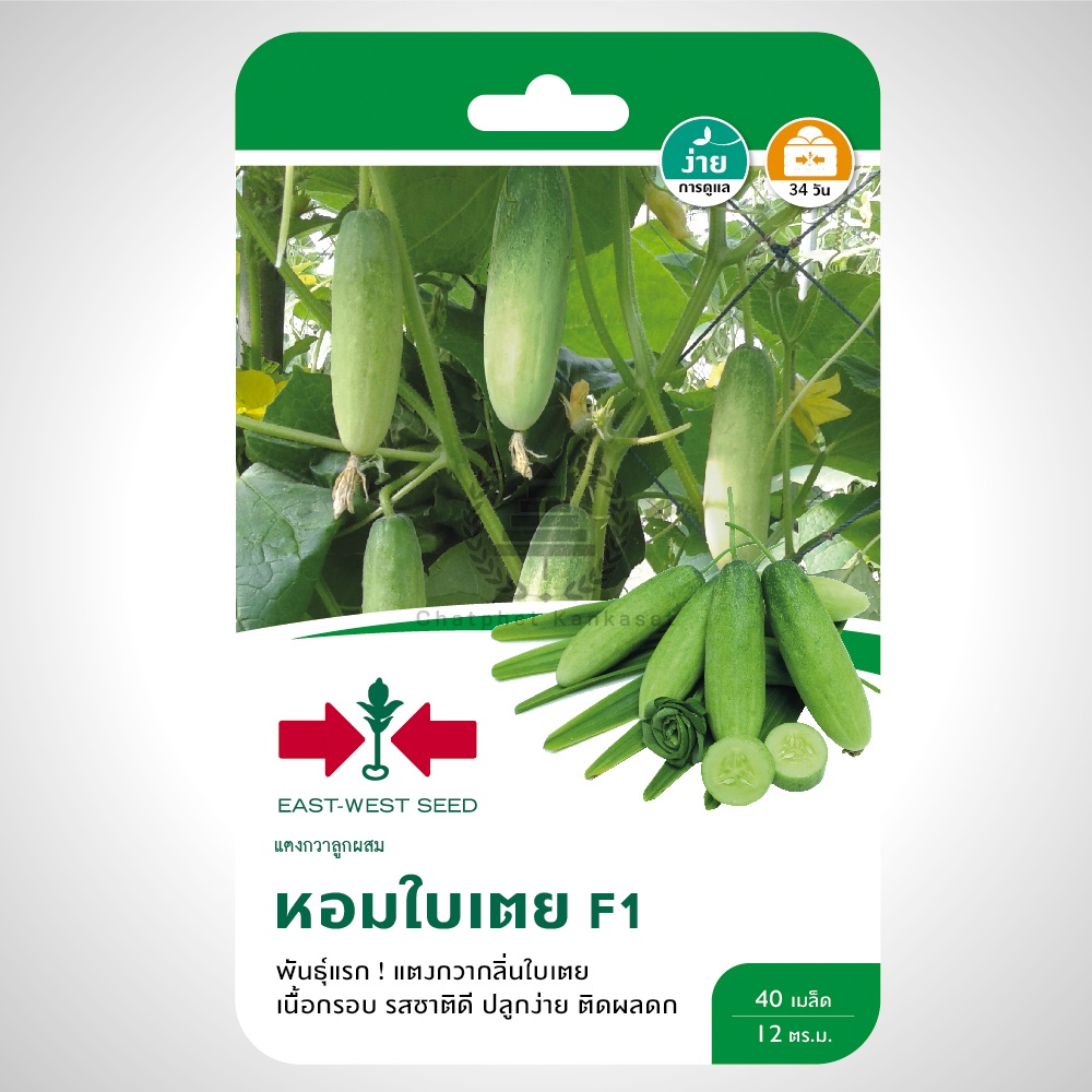 เมล็ดพันธุ์ แตงกวาลูกผสม หอมใบเตยF1 40 เมล็ด/ซอง ตราศรแดง