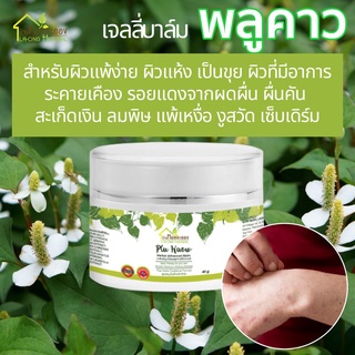 (ส่งฟรี) บ้านหมอละออง เจลลี่ บาล์ม บาล์มพลูคาว บาล์มหมอละออง ผิวแห้ง ผื่นคัน ขุย เข้มข้นด้วยสมุนไพรตามตำรับ 40 กรัม