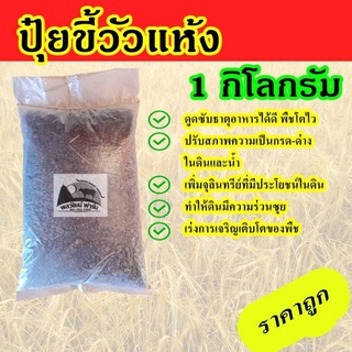 ปุ๋ยขี้วัว โลละ 10 บาท มูลวัว ขี้วัวแห้ง ถูกถูก ขี้วัว ตากแห้ง