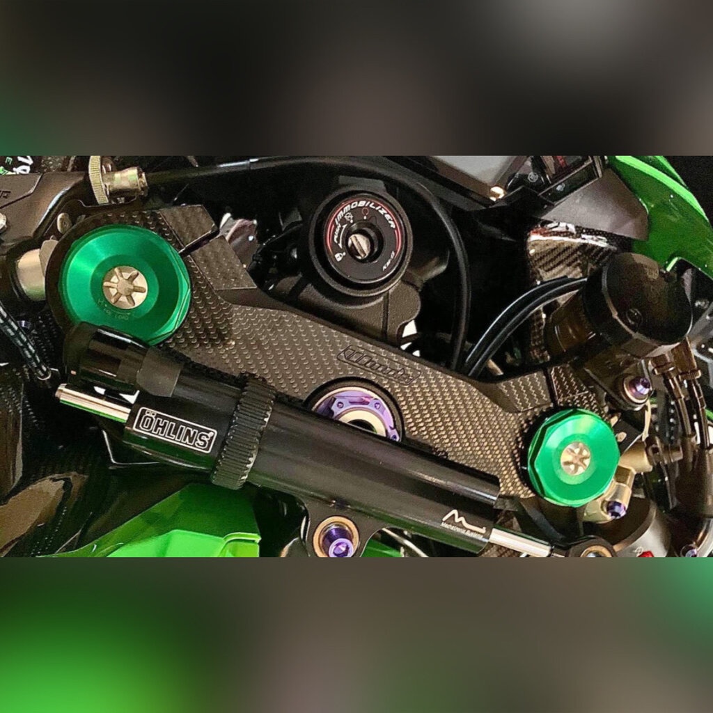 กันรอยแผงคอคาร์บอน Woods KAWASAKI ZX10R