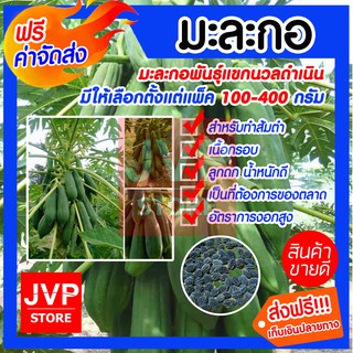 **ส่งฟรี**เมล็ดมะละกอพันธุ์แขกนวลดำเนิน มีให้เลือกตั้งแต่แพ็ค 100-400กรัม (Papaya seeds) สินค้าคุณภาพจากJVP