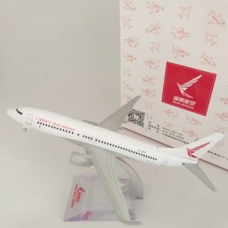 โมเดลจำลองเครื่องบิน Ruili Airlines B737-800