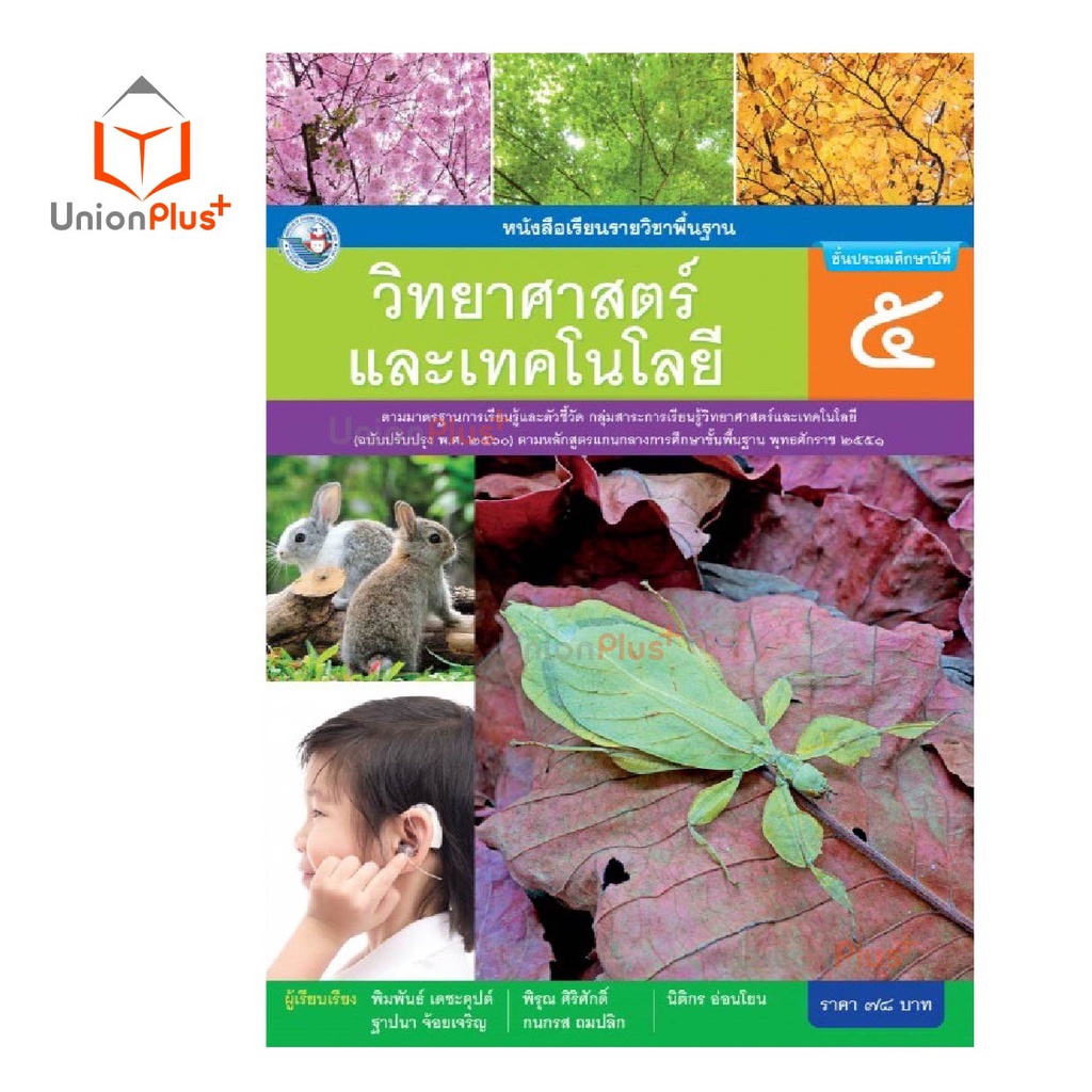 My Image 15