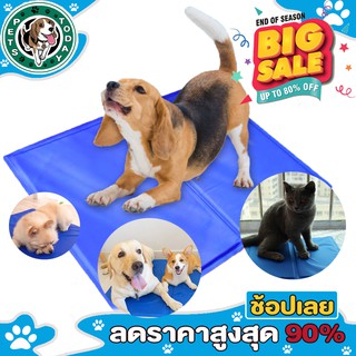 【พร้อมส่ง ถูกที่สุด】😺 แผ่นทำความเย็น แผ่นเจลเย็น ที่นอนสัตว์เลี้ยง ที่นอนเจลเย็น ที่นอนเย็น  ที่นอนหมา ที่นอนแมวเย็น