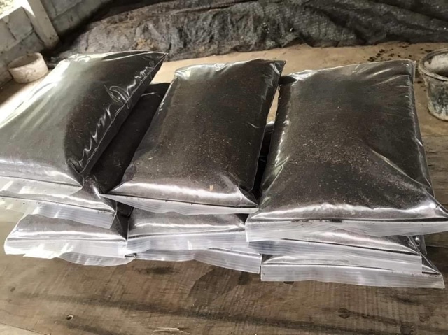 Garden Soils & Growing Media 11 บาท ดิน ปลอดสารเคมี100% พร้อมปลูก 1kg ดินปลูกต้นอ่อน ร่อนละเอียด ดินพร้อมปลูก  ไมโครกรีน ร่อน  ซุย อุ้มน้ำ ไม่มีหิน ปะปน Home & Living