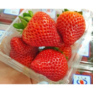 TOP-1สตอเบอรี่นำเข้า จากอเมริกา/ออส Strawberry (USA/AUS) (1แพค/250กรัม) ~ลดพิเศษ~ Premium ที่สุดของสตรอเบอรี่ (สตอเบอรี่