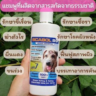 📢ส่งด่วน แชมพูหมา แชมพูยาขจัดเชื้อราสุนัข ปัญหาผิวหนังทุกชนิด ผื่นแดงคัน ขนหลุดร่วง หายขาด 240 ml.