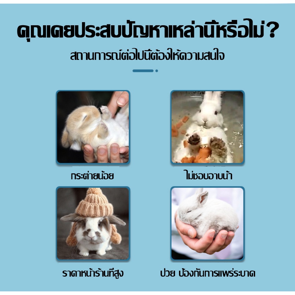 รูปภาพ 4