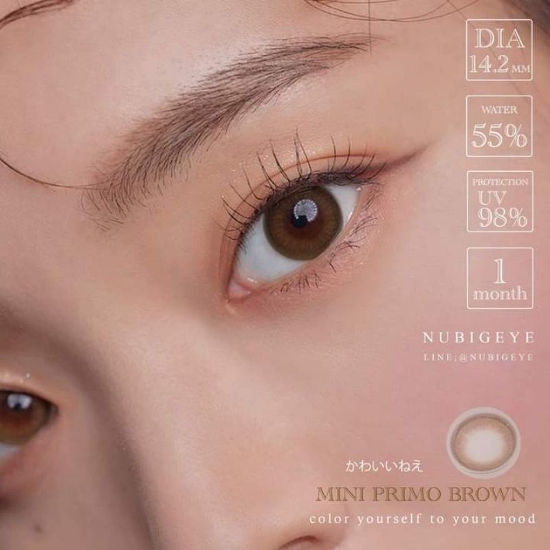 Mini Primo Brown (ขนาด14.2) สายตา0.00ถึง -10.00 คอนแทคเลนส์  Kitty Kawaii