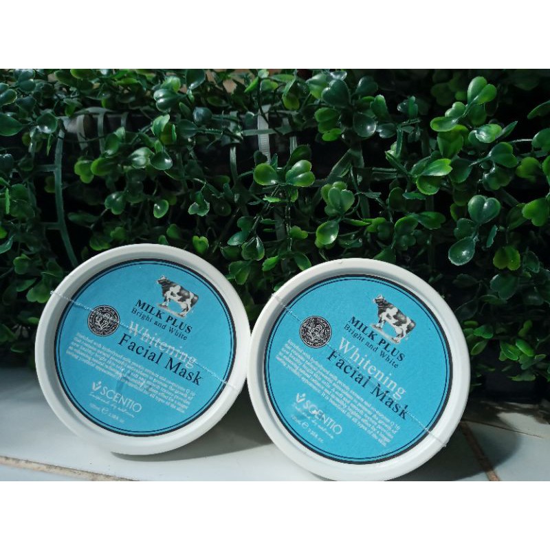 milkplus whitening facial mask scentio
