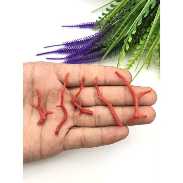 1 Pc Italian Red Coral / Top High Quality / it is also a calming stone for those who experience anxi