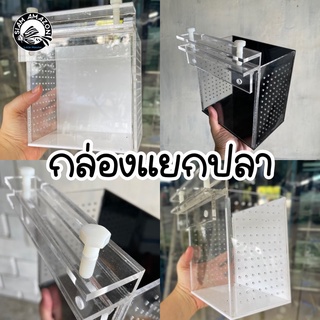 🔺กล่องแยกปลา กล่องอนุบาลปลา กล่องถ่ายรูปปลา ขนาด 15x15x10 เซนติเมตร