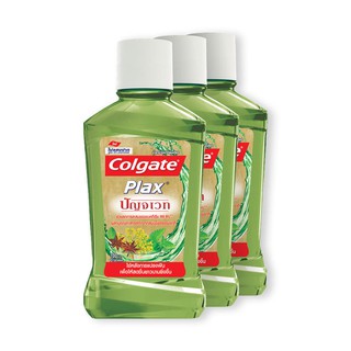 ถูกที่สุด✅  คอลเกต น้ำยาบ้วนปาก พลักซ์ ปัญจเวท ขนาด 100 มล. แพ็ค 3 ขวด Colgate Mouth Wash Plax Panjaved 100 ml x 3