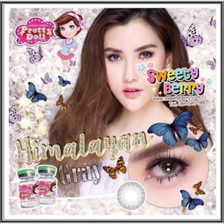 คอนแทคเลนส์ Himalayan