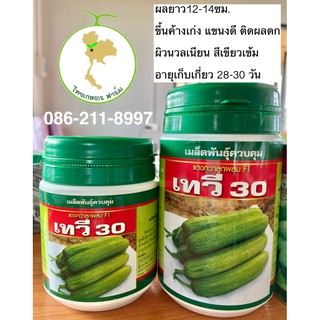 แตงกวาเทวี30ดกมากสีเขียวเข้มแขนงดี🥒