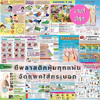 โปสเตอร์ การแปรงฟัน ยาสามัญ อาหาร5หมู่ ยาเสพติดให้โทษ สื่อเรียนรู้ สุขศึกษา และพลศึกษา โปสเตอร์กระดาษอาร์ตมัน