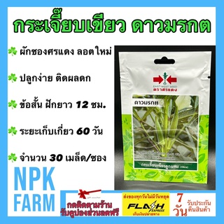 ผักซอง ศรแดง กระเจี๊ยบเขียว ดาวมรกต จำนวน 30 เมล็ด/ซอง เมล็ดพันธุ์ ลอตใหม่ ปลูกง่าย ติดผลดก ข้อสั้น ฝักยาว 10-12 ซม.