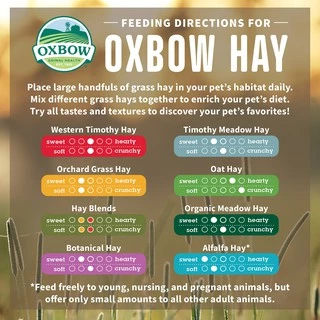 ร้านโทโมะ 💕 หญ้า Oxbow Hay หญ้าแห้ง ทิมโมธี ออชาร์ด อัลฟาฟ่า หญ้ากระต่าย แกสบี้ แพรี่ด๊อก ชินชิลล่า เควี่