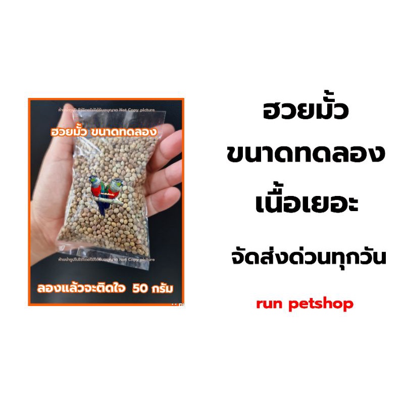 อาหารนก 20 ชนิด นกแก้ว กระรอก หนูแฮมสเตอร์ ผสมฮวยมั้ว